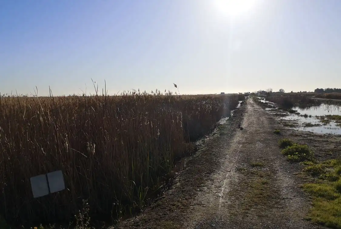 Rustikales Grundstück zum Verkauf in La Llosa, imagen 5