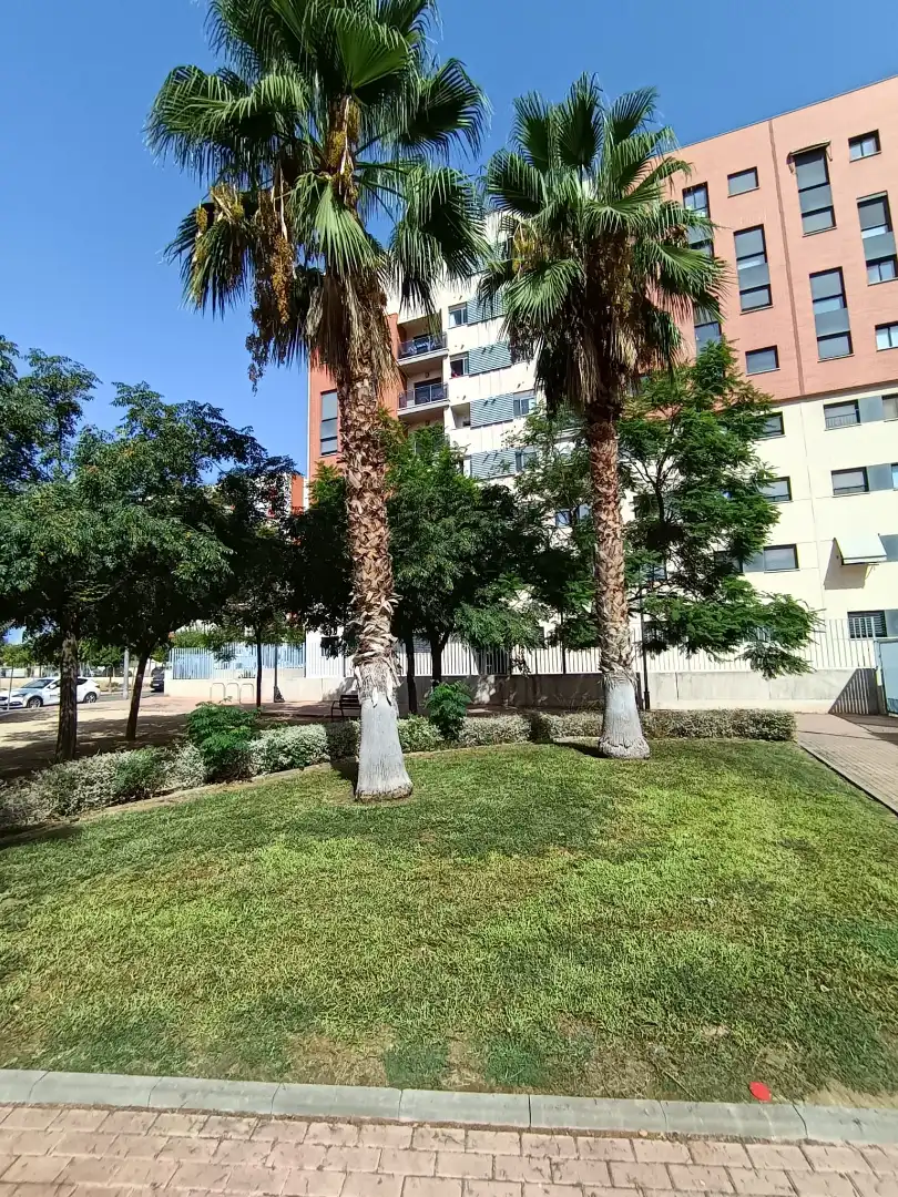 Flat with lift to rent in Calle Alonso de Tenza, imagen 11