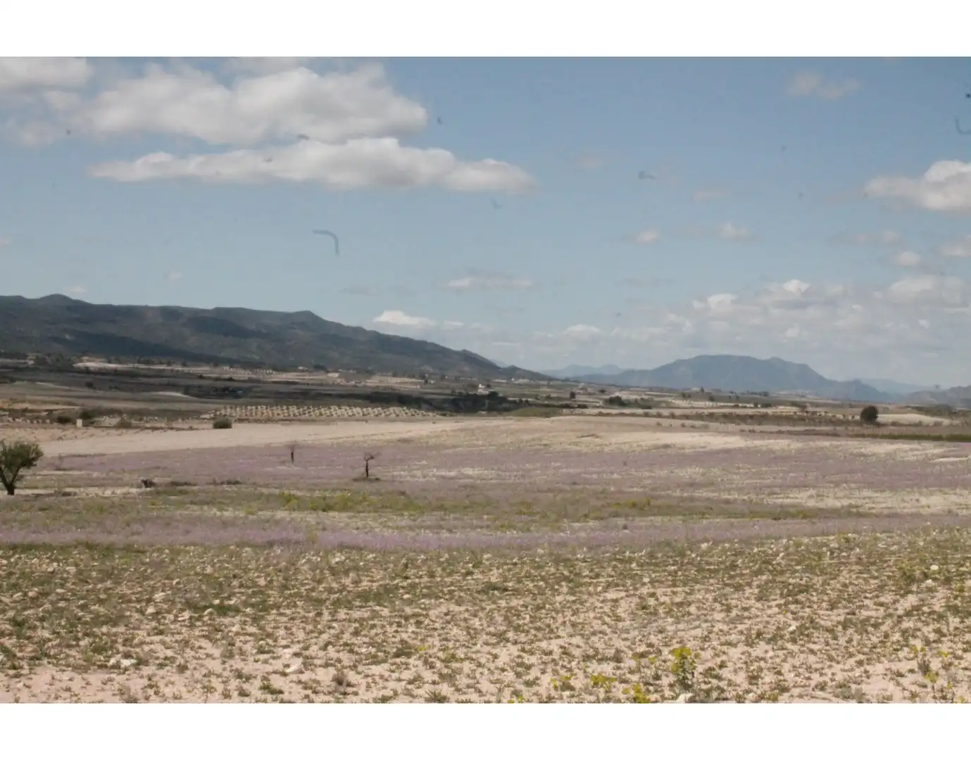 Country house for sale in Jumilla, imagen 38