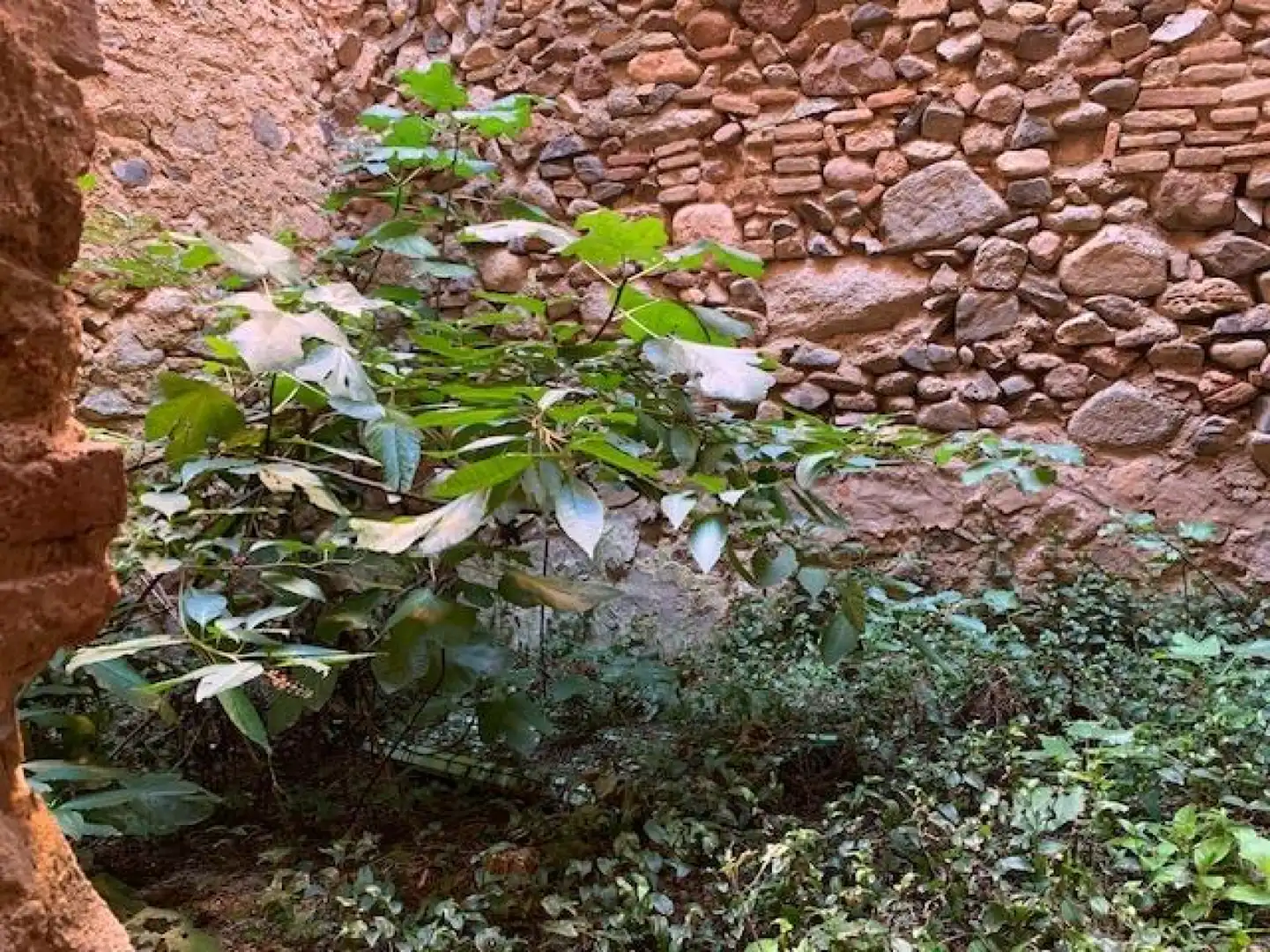 Jardí de Casa o xalet en venda en L'Aleixar amb Balcó