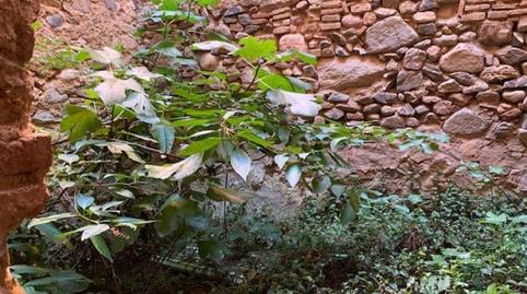 Photo 5 of House or chalet for sale in Aleixar L - Carrer Raval Alta, L'Aleixar, Tarragona