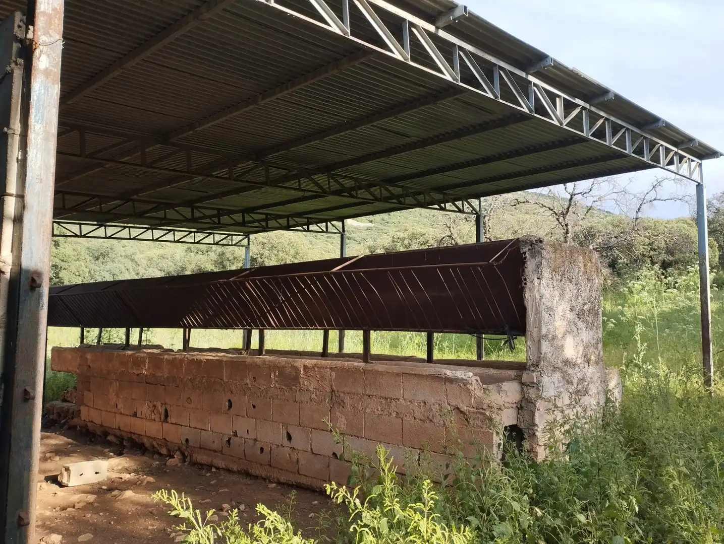 Terreno rustico in vendita a Calle Doña Mencía, imagen 14