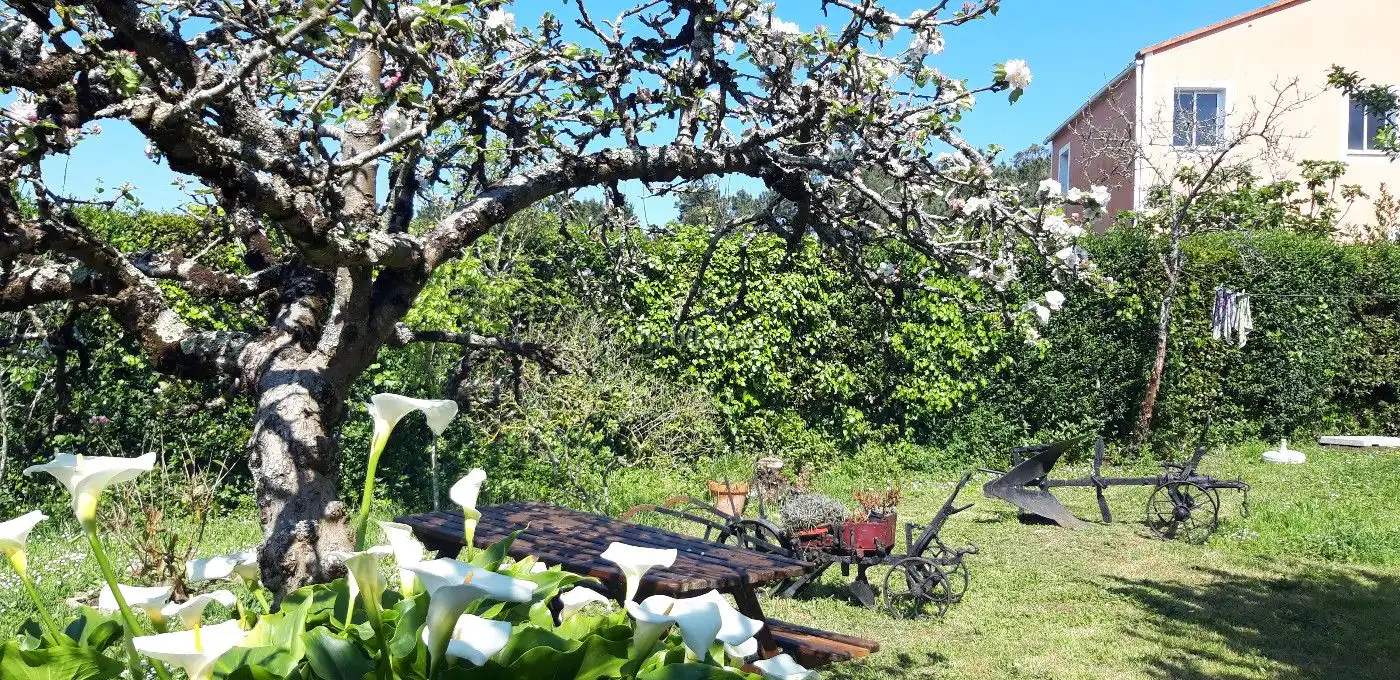 Casa amb jardí de lloguer a Rúa Xaviña 35, imagen 24