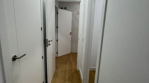 Bajo de diseño a estrenar en Fuente Palmera., imatge 4