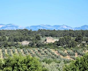 Garden of Land for sale in Cretas