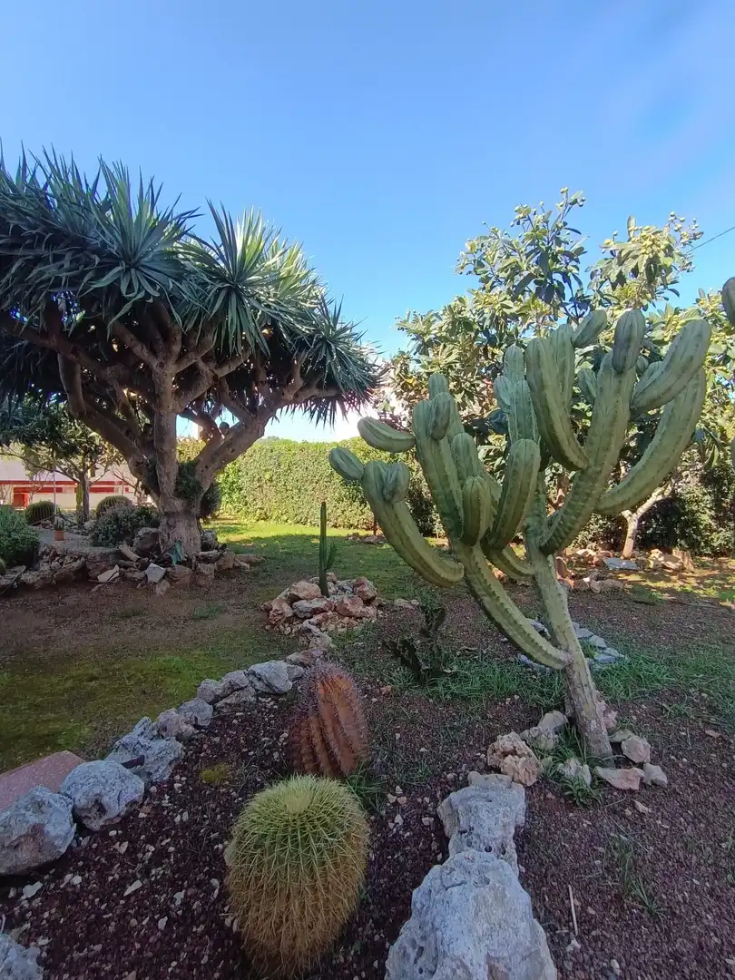 Jardí de Casa o xalet en venda en Es Castell amb Calefacció, Jardí privat i Terrassa