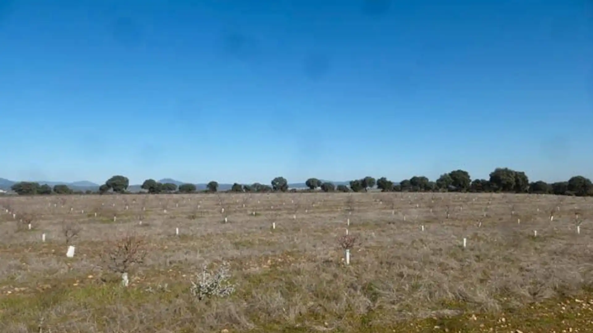 Terreno en venta en Paredes de Escalona