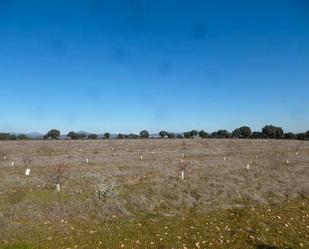 Land for sale in Paredes de Escalona