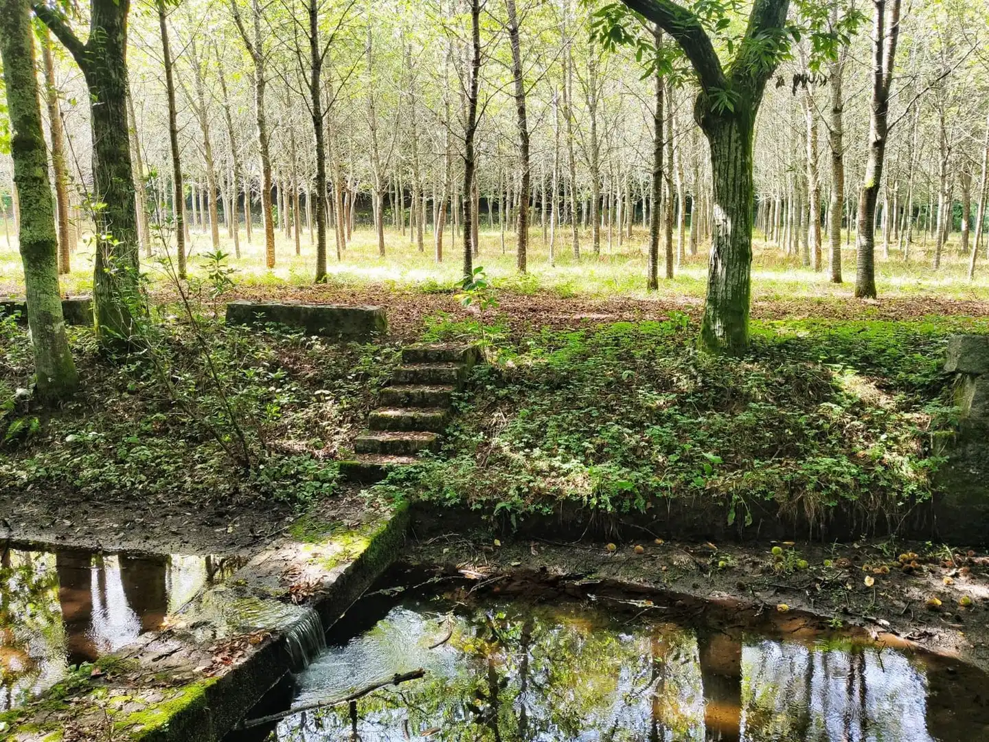 Rural land for sale in Parroquias Rurales