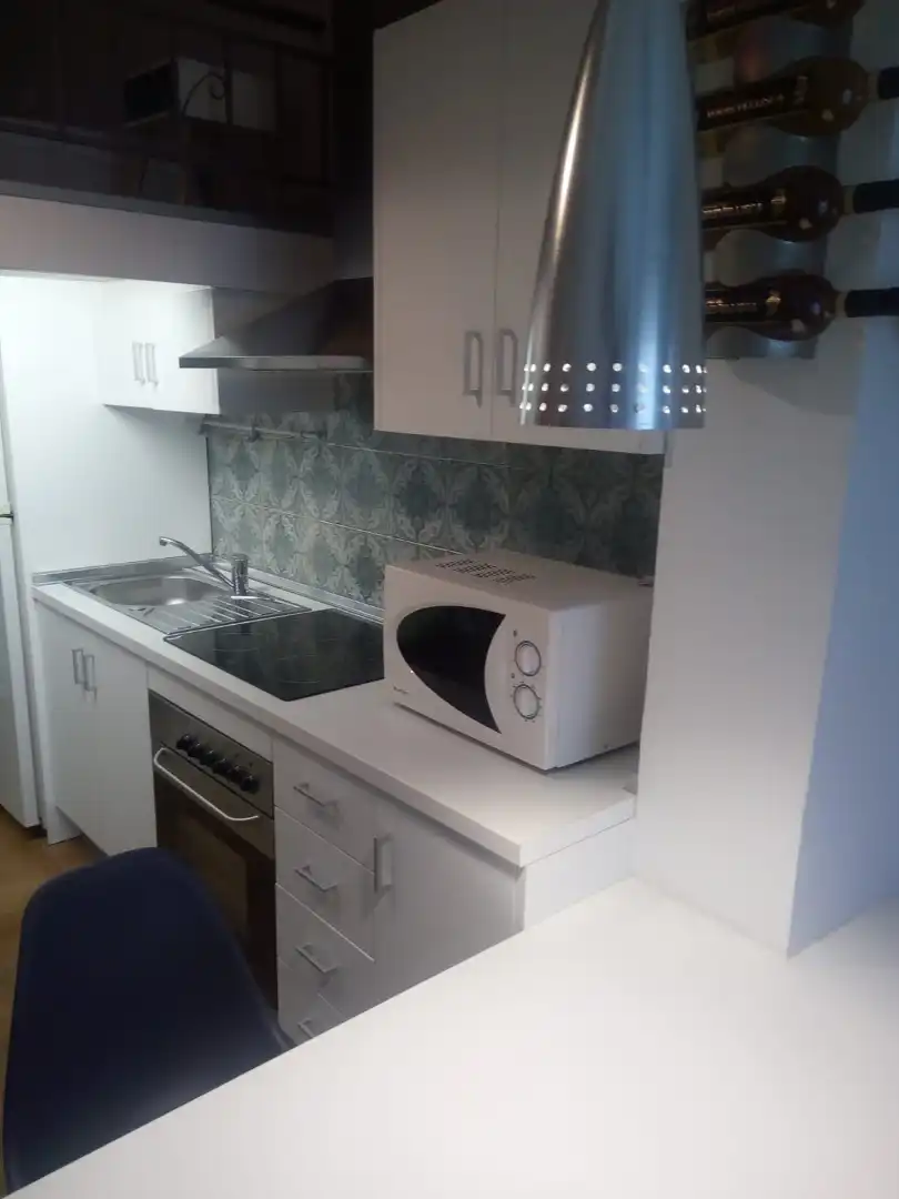Cocina de Loft de alquiler en Elche / Elx con Amueblado