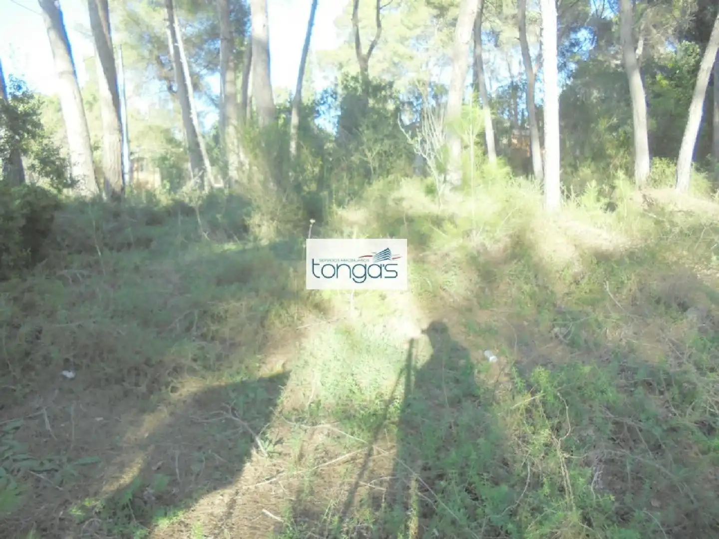 Terreno residencial en venta en El Genovés, imagen 11