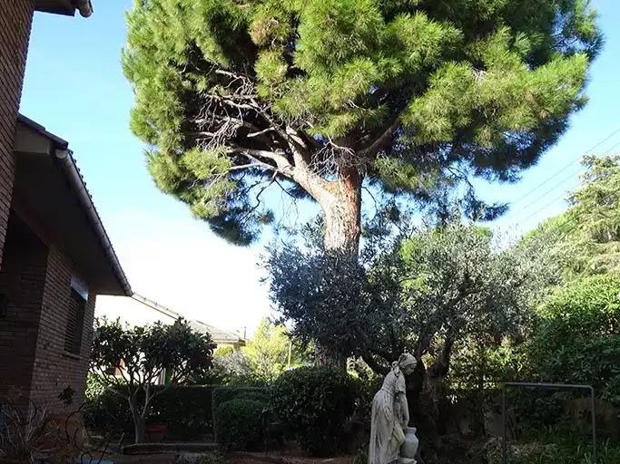 Xalet amb piscina en venda a De Les Alzines 14, imagen 7