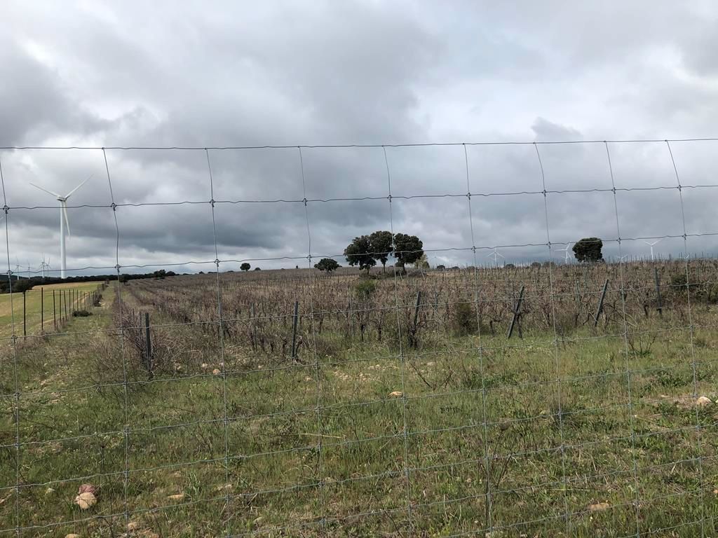 Grundstücke zum verkauf in Peñascosa