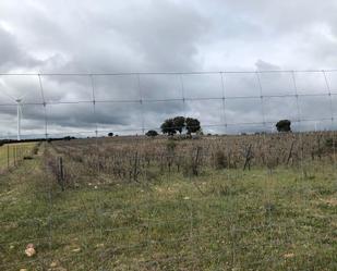 Grundstücke zum verkauf in Peñascosa