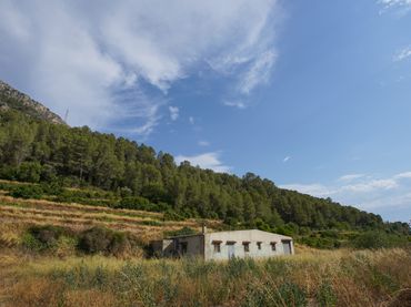 Terrain rustique à vendre à Benifallet
