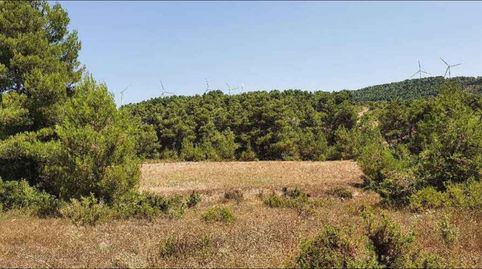 Solvia Inmobiliaria  Suelo Rústico Almansa