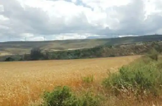 Rural land for sale in Tarazona, imagen 4