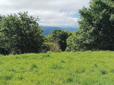 Terreno rustico in vendita a Becerreá