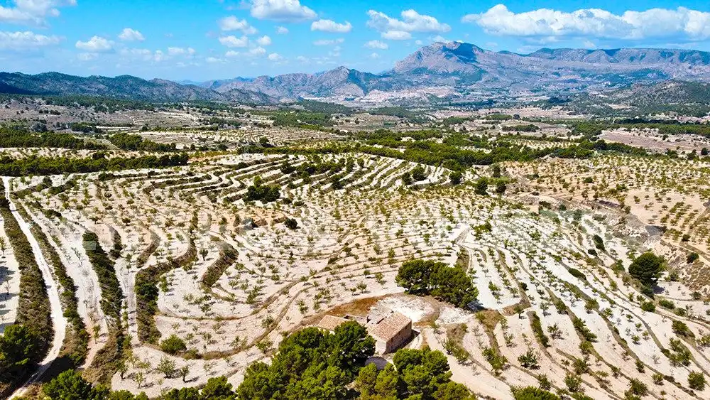 Finca rústica en venta en Jijona / Xixona