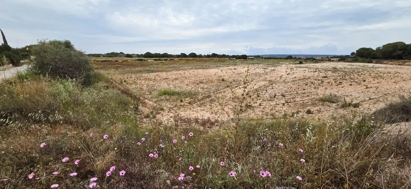 Grundstücke und Bauplätze zum Verkauf in Valverde, imagen 3