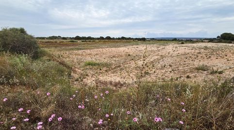 Foto 3 de Residencial en venta en Valverde, Elche / Elx