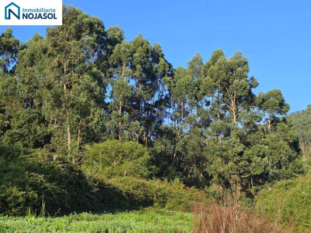 Terreno en Venta en Calle Soano Riegos en Arnuero