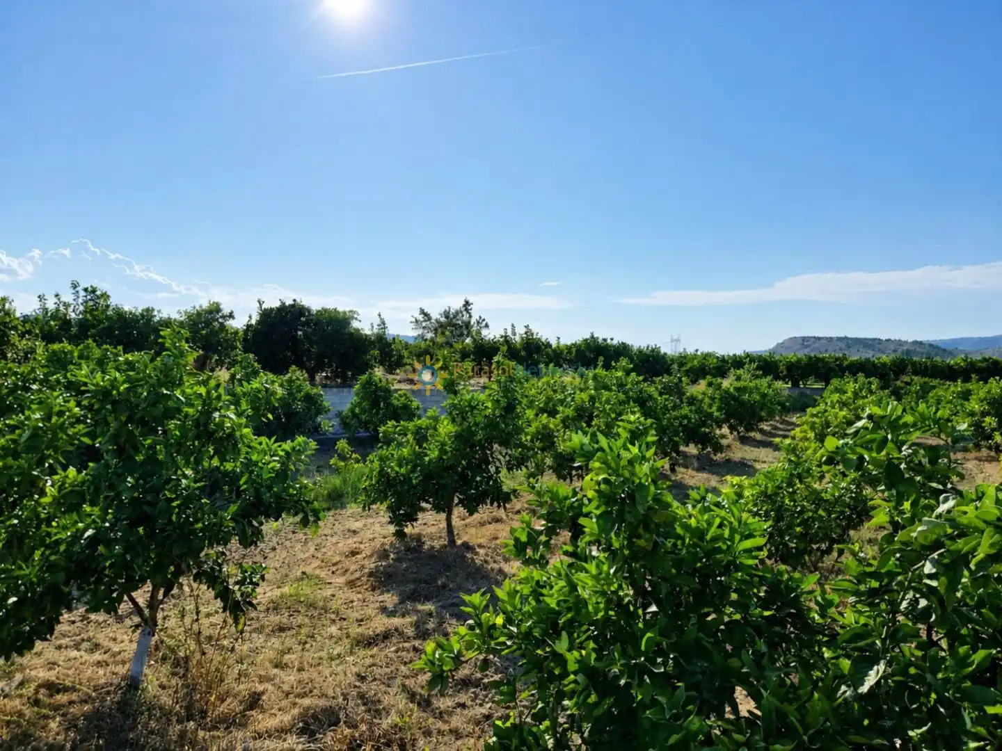 Finca rústica en venda en Cotes amb Jardí privat, Terrassa i Piscina