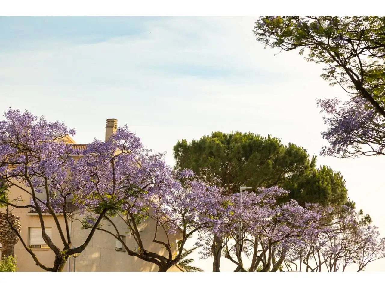 Garden of Flat for sale in Cambrils  with Air Conditioner, Terrace and Furnished