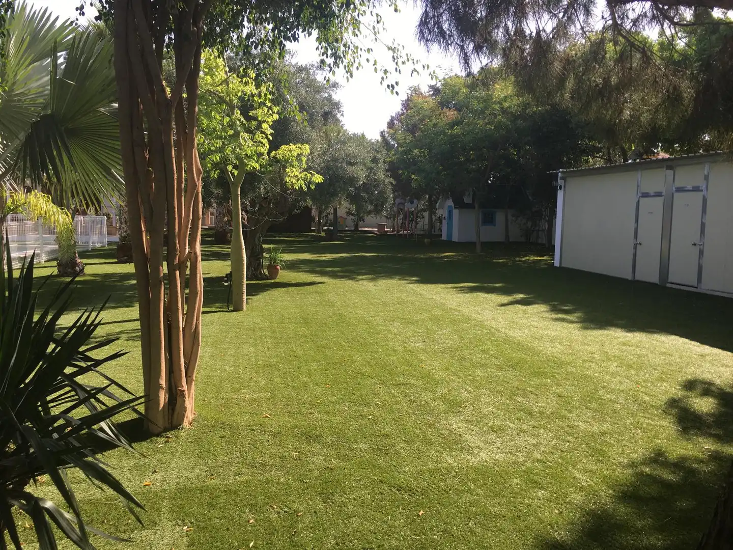Garden of Country homes for rent in Torre-Pacheco  with Furnished