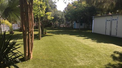 Foto 4 de Finca rústica de lloguer a Diseminado Tio Valenciano, 397, Dolores de Pacheco - Santa Rosalía, Murcia