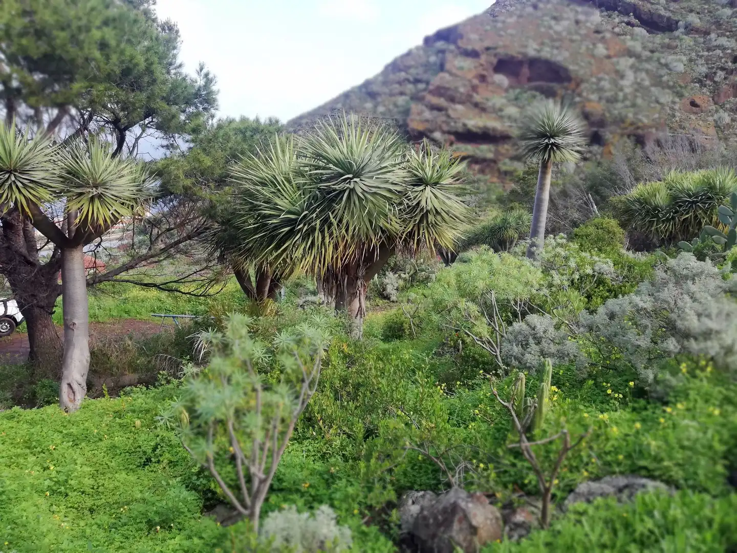 Terreno en venta en Isogue, polígono 7, parcela 39, 1, Punta del Hidalgo