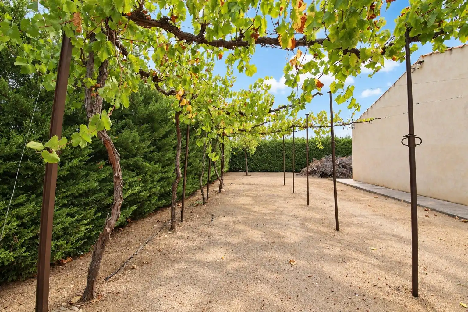 Villa con piscina in vendita a Argamasilla de Alba, imagen 23