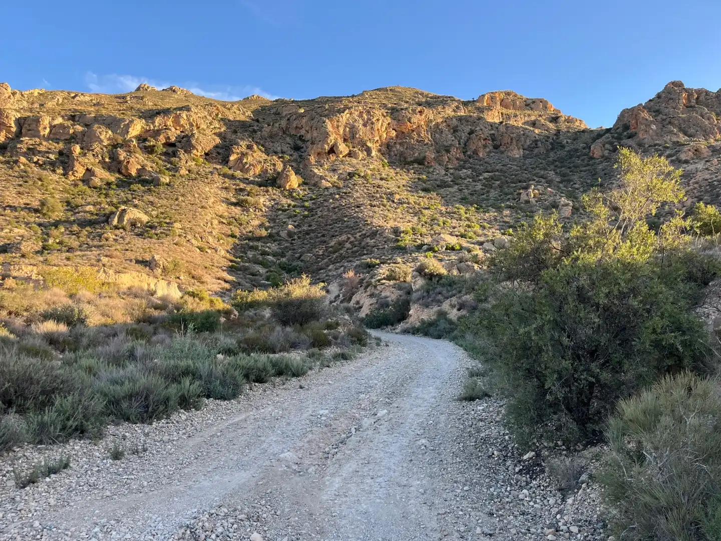 Vista exterior de Casa o xalet en venda en Albatera amb Aire condicionat, Calefacció i Jardí privat