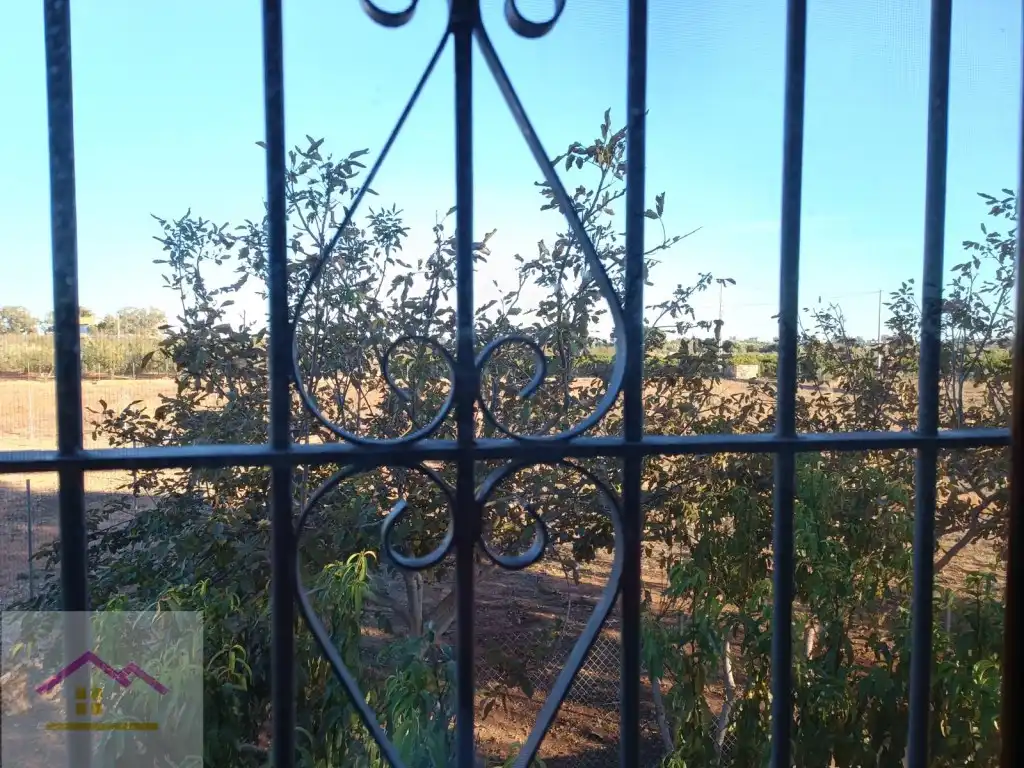 Finca rústica en venda a Calle Poligono 13, Torreblanca