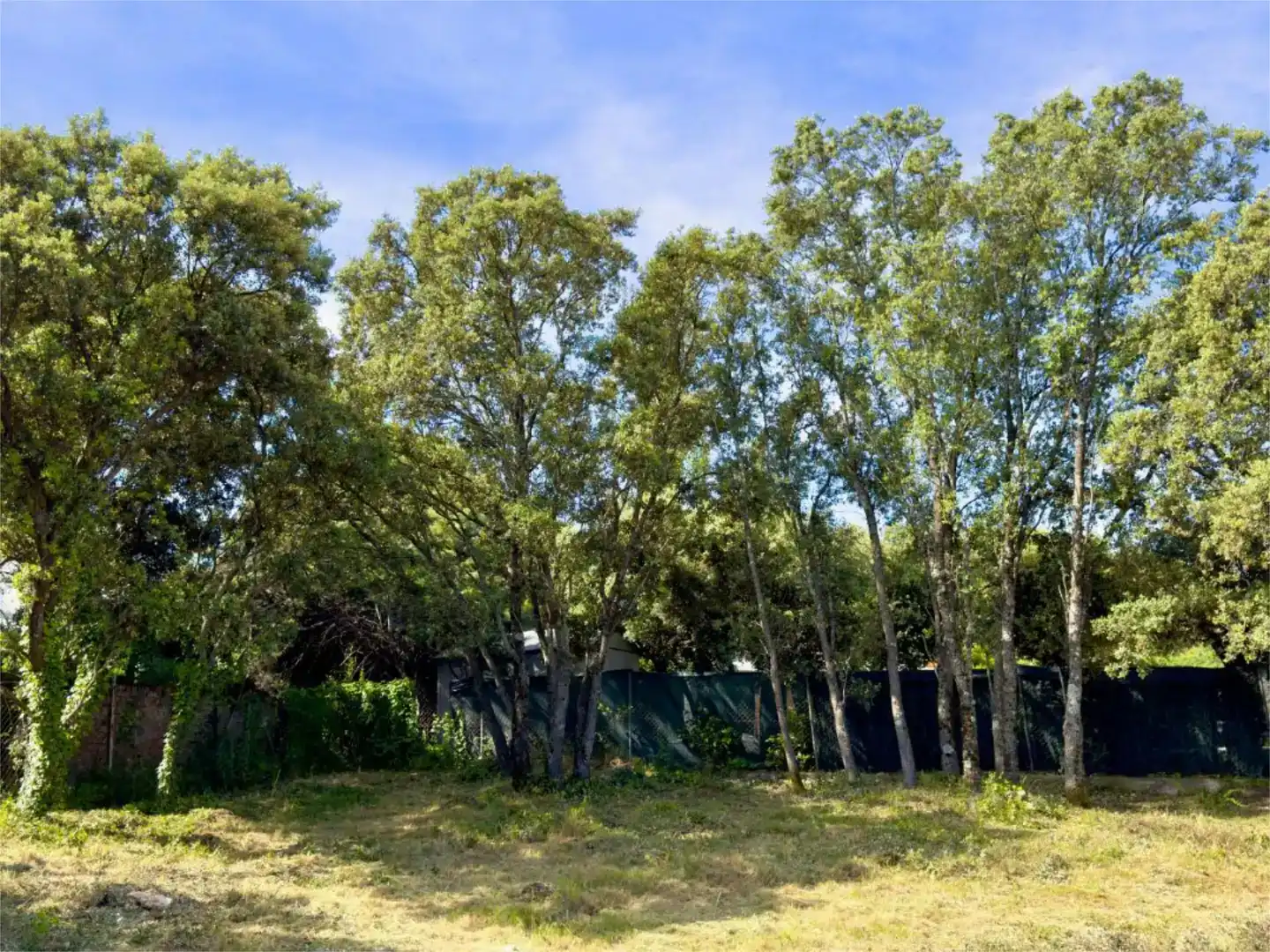 Terreno en venta en Venturada