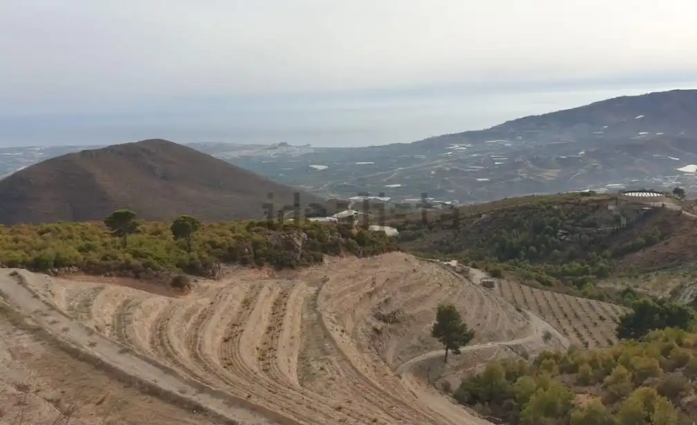 Terreno rústico en venta en Motril  ciudad, imagen 7
