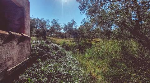 Foto 3 de Finca rústica en venda a Godall, Tarragona