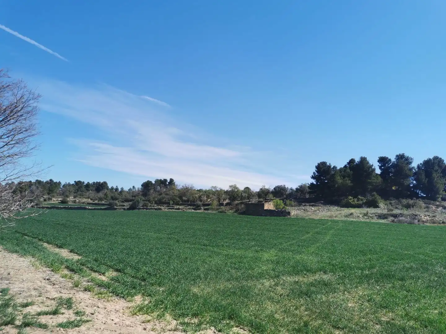 Rural land for sale in Carretera Albí 39, imagen 3