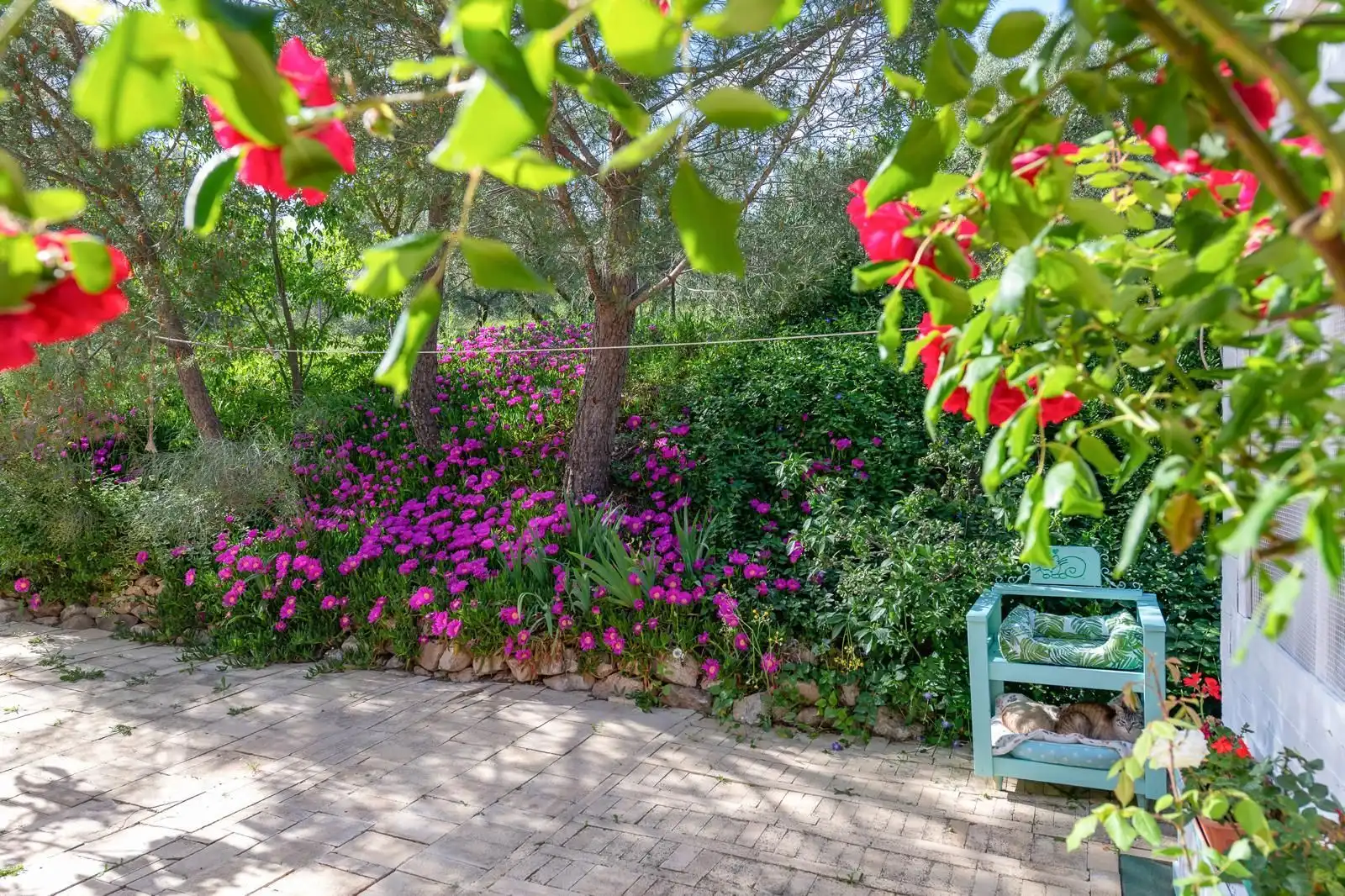 Casa rústica con jardín en venta en Villanueva del Trabuco, imagen 17