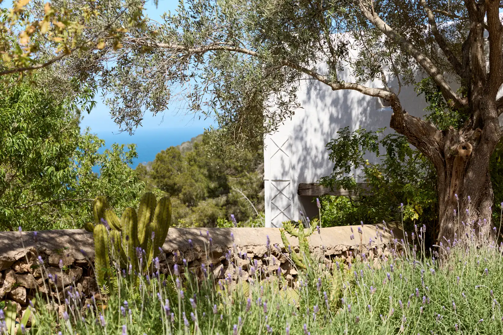 Jardí de Finca rústica en venda en Sant Joan de Labritja amb Aire condicionat, Jardí privat i Parquet