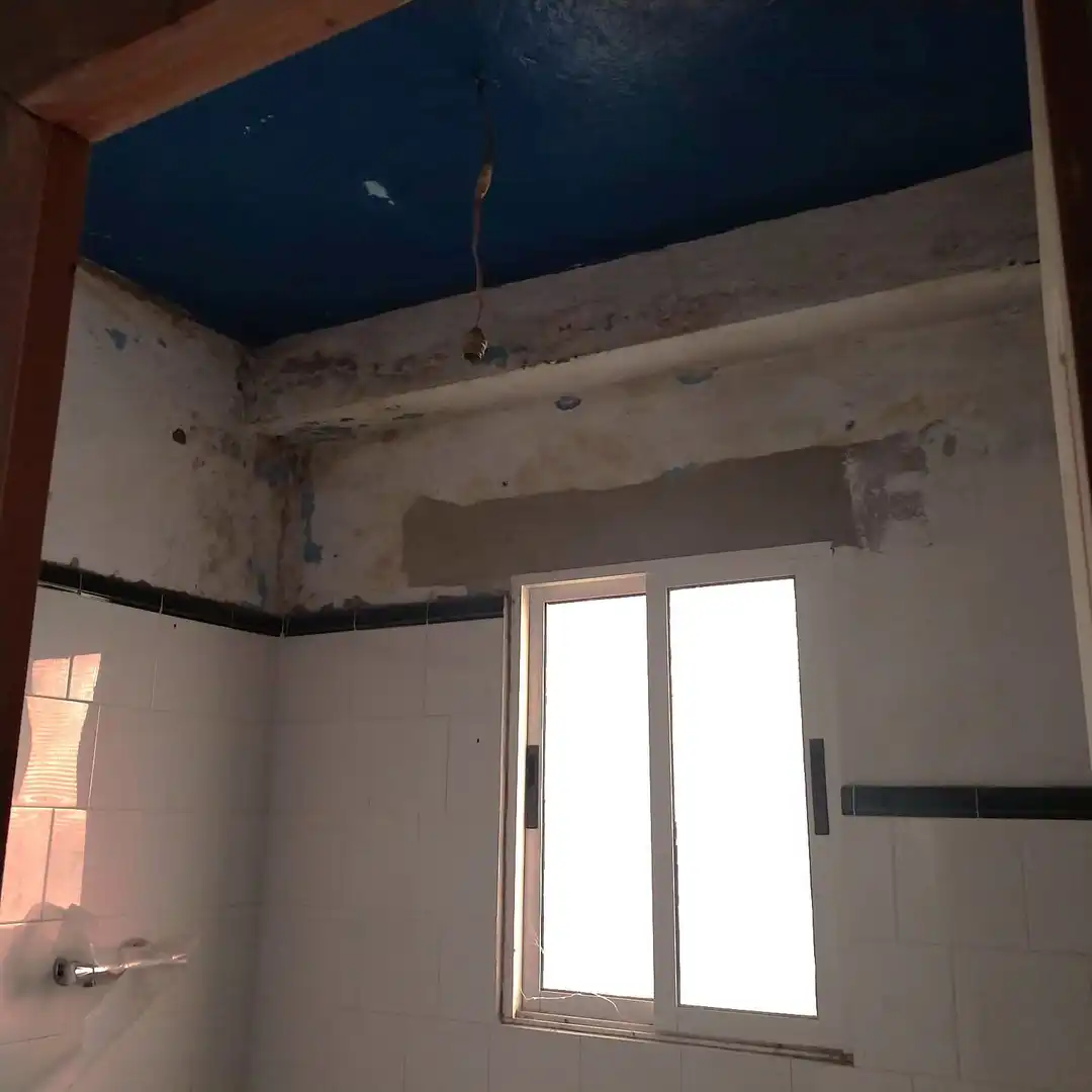 Baño de Casa o chalet en venta en Carmona