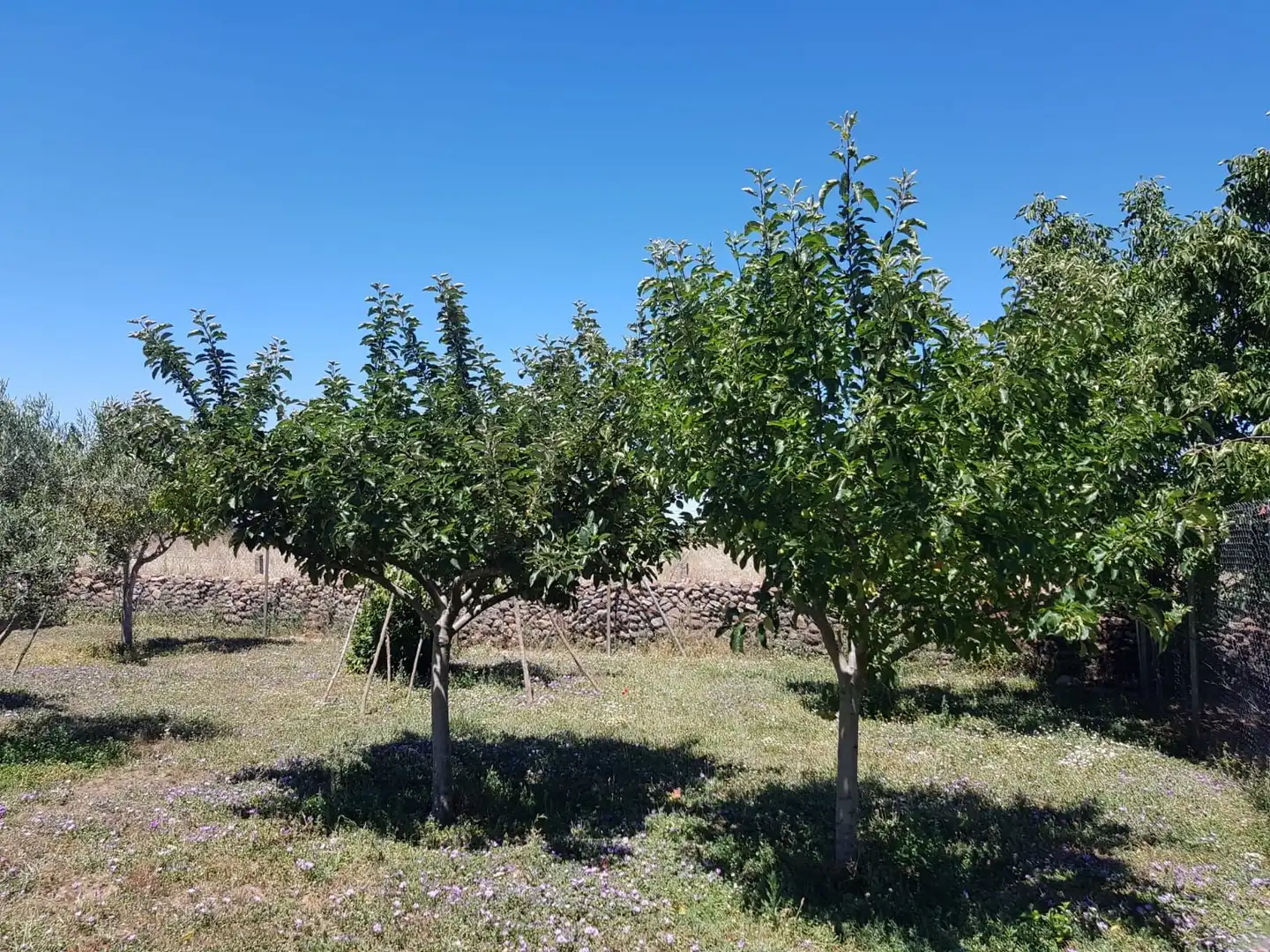 Casa o xalet en venda en Aldehuela de Yeltes amb Calefacció, Moblat i Forn