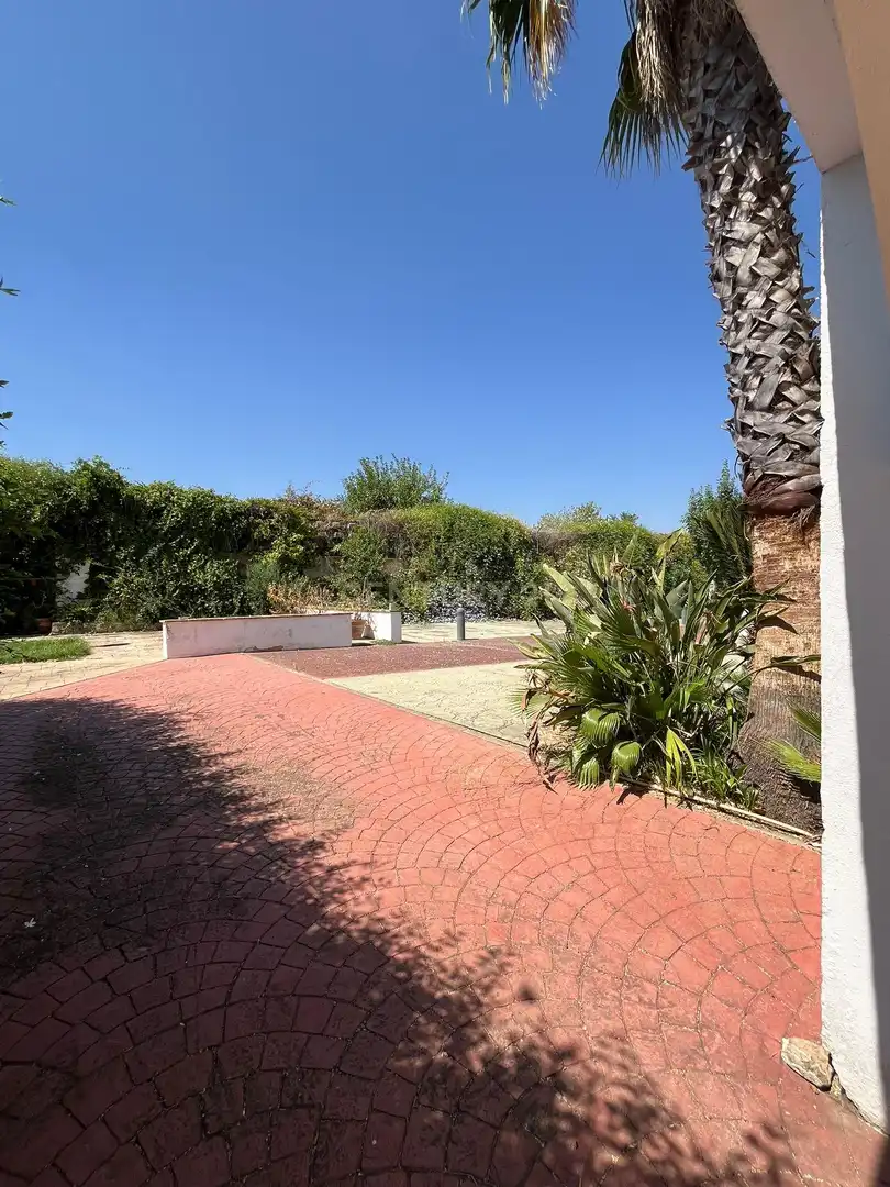 Garten von Geschaftsraum zur Miete in Zafra mit Klimaanlage und Alarm
