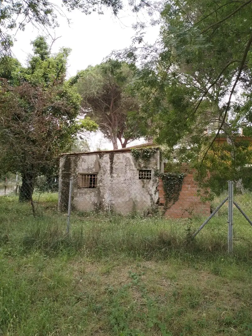 Lands and plots for sale in Caldes de Malavella