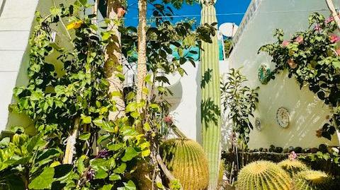 Photo 3 of House or chalet for sale in Calle las Magnolias, 84, San Agustín - Bahía Feliz, Las Palmas