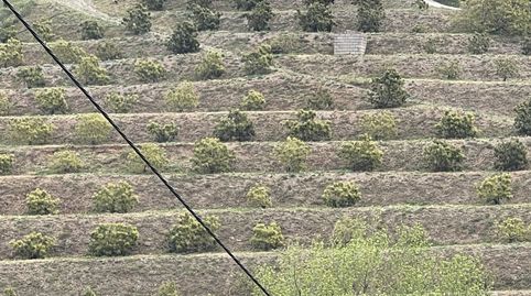 Finca en venta en Pago del Tesoro, ÍtraboOportunidad única! Se vende finca rústica de 9.400m2  totalmente equipada y lista para pr, immagine 2
