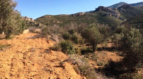 Foto 4 de Terreno en venta en Calle Macastre, 1, Barrio de Campanar,  Valencia Capital