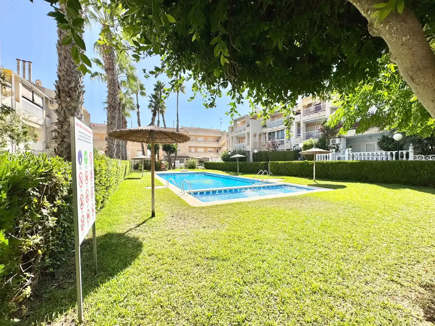 Swimming pool of Flat for rent in Torrevieja  with Air Conditioner, Heating and Swimming Pool