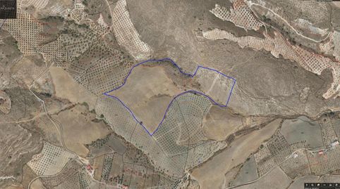 Magnífico terreno Rústico con posibilidad de construir vivienda Rural de hasta 467 metros cuadrados