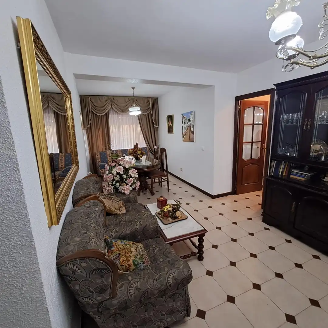 Sala d'estar de Pis en venda en Córdoba amb Aire condicionat, Calefacció i Traster